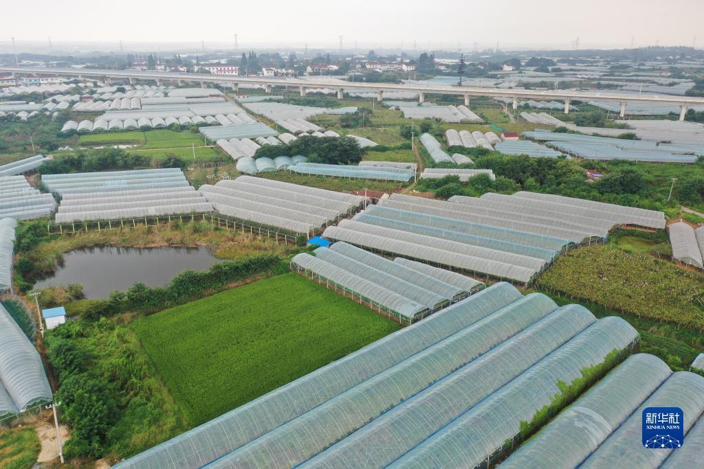 澳门新匍京怎么下载